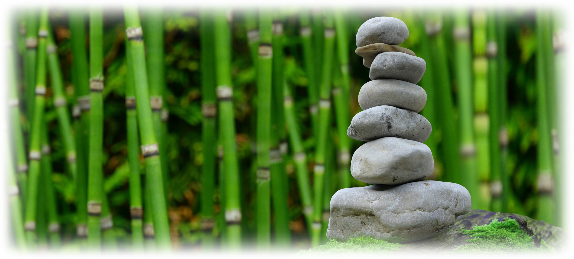Zen bamboo forest with rock stacking
